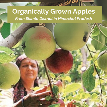 Apple Cider Vinegar with Mother | Organically Grown Apples | Raw, Unpasteurized & Unfiltered | 500ml